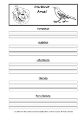 Steckbriefvorlage-Amsel.pdf
